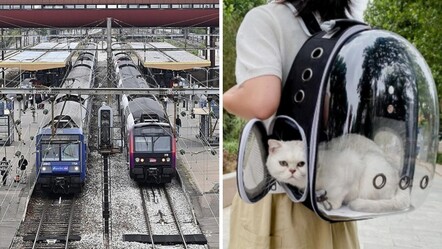 Yüksek hızlı trende kriz! Kedisi miyavladığı için 5 bin 500 TL ceza ödedi - 3-sayfa