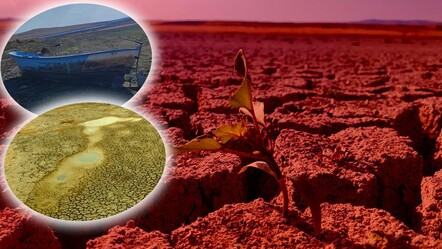 Baraj kurudu, toprak çatladı! Bir kentimizde kuraklık alarmı - Yaşam