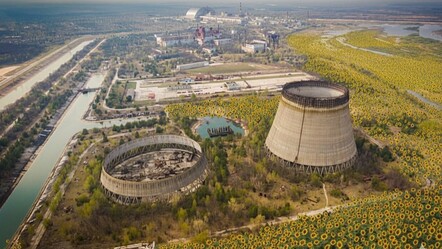 Çernobil’de 360 ton mahsul yetiştirdiler! Radyoaktif ürünler piyasaya verildi - Gündem
