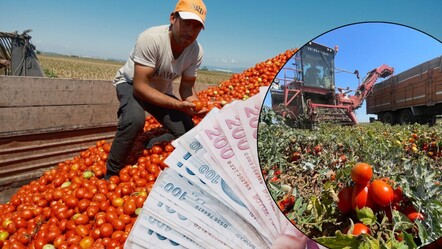 Girdiler artıyor, ürün fiyatları yeterli değil: Karacabey çiftçisi endişeli - Ekonomi