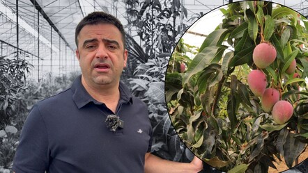 Türkiye'nin en büyük merkezlerinden: 30 yıl önce deneme amaçlı dikti, şimdi 300 dönümde üretim yapıyor! - Ekonomi