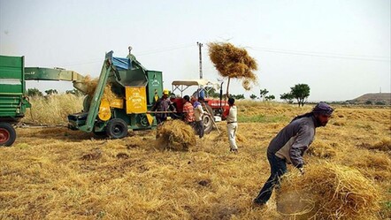 2026 ÇKS başvurusu nereden ve nasıl yapılır? Çiftçi Kayıt Sistemi başvuruları başladı... - Haberler