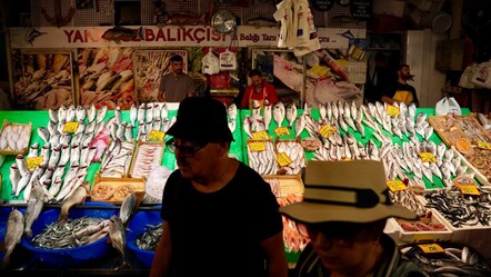 En ucuz balık 200 lira! Av yasağı kalktı, işte tezgahlarda bol olan 2 çeşit - Ekonomi
