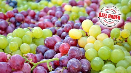 Hem sarısı hem karası şifa deposu! Doğal ilaç gibi - Sağlık