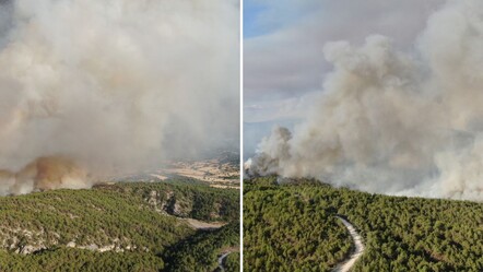 Kastamonu'da orman yangını! Kuvvetli rüzgar alevlerin enerjisini arttırdı - Gündem