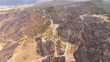 Karabük'teki orman yangını söndürüldü mü? Son dakika! Sebebi karga çıktı... - Haberler