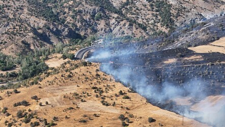 Sivas'ta makilik alanda yangın! Kısa sürede yayıldı, ekipler bölgede - Gündem