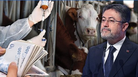 Şap hastalığında sevindiren gelişme! Bakan Yumaklı duyurdu: 6 ilin hayvan pazarı açılacak - Gündem