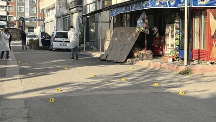 2 kardeşi sokak ortasında kurşunlayarak öldürdüler! Van'da kan donduran infaz - 3. Sayfa