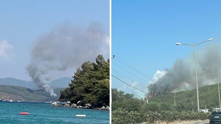 Bodrum’da orman yangını! Ekipler bölgede - Gündem