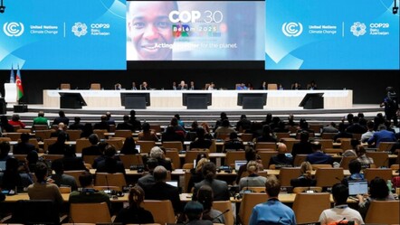 COP31 Zirve yarışı kızıştı: Türkiye ve Avustralya sahadan çekilmiyor! - Dünya