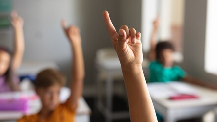 İstanbul Valiliği duyurdu! Okulların çevresinde kuş uçurtulmayacak - Eğitim