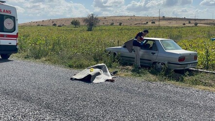 Komşuları pusuya düşürdü! 2 kardeşi tüfekle ateş açarak katletti - 3. Sayfa