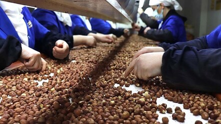 124 ülke onun için sıraya girdi! Türkiye'ye para yağdırdı - Ekonomi