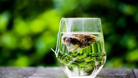 Alzheimer’a karşı doğal kalkan! Riski azaltıyor, beyni koruyor - Sağlık