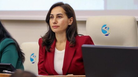 CHP’den istifa eden Beykoz Belediye Başkan Vekili Özlem Vural Gürzel kimdir? - Haberler