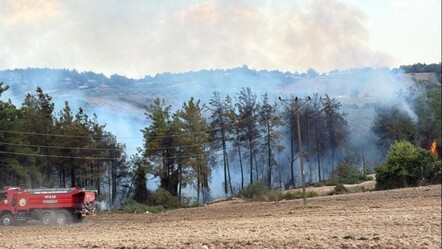 Osmaniye'de orman yangını: Karadan ve havadan müdahale sürüyor. - Gündem