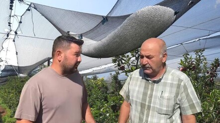 Bir gecede bütün emekleri gitti! Zarar 170 milyon lira - Ekonomi