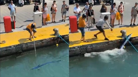 Vatandaşlar tepki gösterdi! Nesli tehlike altındaki balık zıpkınla vuruldu - 3. Sayfa