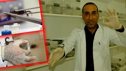 Belgeselde izledi, 9 milyon liraya tesis kurdu! 1 gramından on binlerce dolar kazanıyor - Ekonomi
