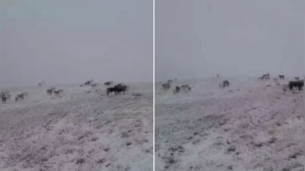Eylül ayında kar sürprizi! Kış bir anda geldi, her yer beyaza büründü - Gündem