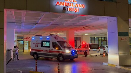 Siyanürlü, baltalı, bıçaklı aile faciasında yeni gelişme - 3. Sayfa