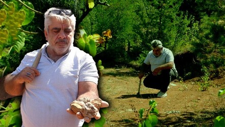 Gramı altınla yarışıyor! Toprak altından çıkarıp ekonomiye kazandırıyor - Ekonomi