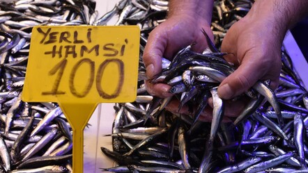 Kilosu 100 TL'den satılıyor! Sezon başladı, tezgahlarda yerini aldı - Ekonomi