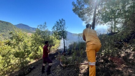 Adana'da orman yangını! Alevler kontrol altında - gundem
