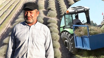 Burdur'un susuz tarlalarında geçim kaynağı oldu! Yurt dışında 'çok kolay' alıcı buluyor - Yaşam