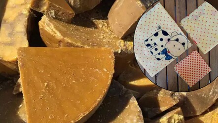 Oğlunun sağlığı için arayışa girdi, üretimde öncü oldu! Giresunlu girişimcinin ilham veren hikayesi - Yaşam