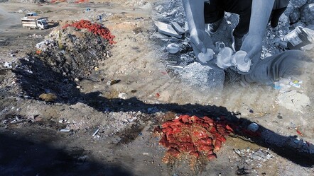 Tonlarca ürün var, kime ait belli değil! Gören şaşkına döndü, evine götüren götürene - Ekonomi