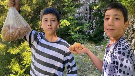 Metrelerce yüksekten topluyor! Kilosunu 5 bin liraya satarak harçlığını çıkarıyor - yasam