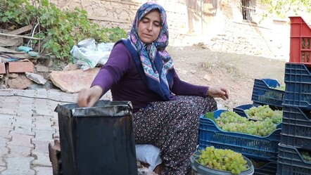 5 kilo yaş üründen 1 kilo kurusu çıkıyor! Torosların yeşil altınında hasat başladı, 100 liradan satışta - Ekonomi