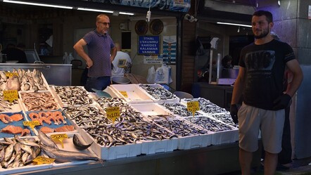 Balıkçı tezgahlarına bereketin ardından belirsizlik geldi: Bu sezon misafirlik kısa sürecek! - Yaşam