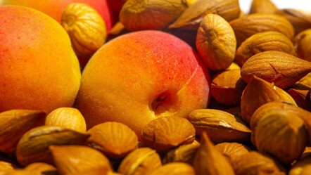 Kayısı çekirdeği hem şifa hem zehir olabilir! - Sağlık
