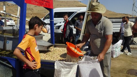Verim düştü, fiyat arttı! Bu yıl bahçede kilosu 600 lira - Ekonomi