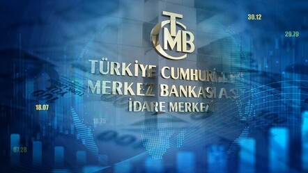 Merkez Bankası'ndan Paypole ve IQ Money kararı! Faaliyet izinleri iptal edildi  - Ekonomi