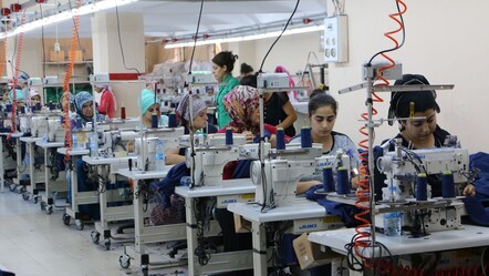 Pluxee, Türkiye’de çalışanların mutluluğunu ölçtü - Şirket Haberleri
