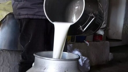Çiğ süte zam! Peynir ve yoğurt fiyatlarına da yansıyacak - Ekonomi