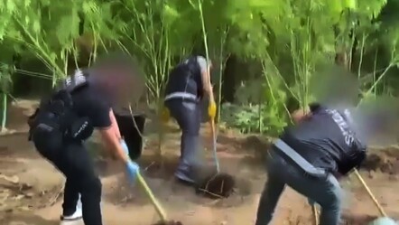 Muğla’da zehir tacirlerine darbe! Evden uyuşturucu bahçesi çıktı - 3. Sayfa