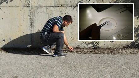 Çankırı'da otoparkta bulundu! Nesli tükenme tehlikesi altında... - Güncel