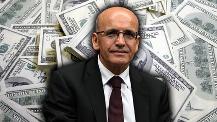 "Krizin ana nedeni" diye duyurmuşlardı! Hazine ve Maliye Bakanlığı'ndan "vergisiz döviz" iddiasına cevap  - Ekonomi