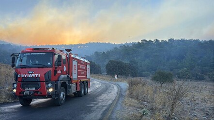 Muğla'daki yangın söndürüldü mü? Milas orman yangını son durum merak ediliyor - 3-sayfa