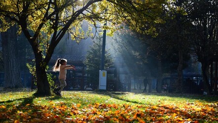 Pastırma sıcakları ne zaman başlıyor, kaç gün sürecek? 2025 pastırma sıcakları için geri sayım - Haberler