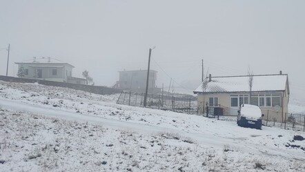 Karadeniz'e kar yağdı, 4 il beyaza büründü! Bölge halkı pazar sabahına şahane manzara ile uyandı - Yaşam
