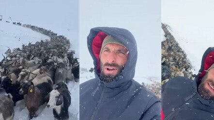 Rize'de eylülde 20 santim kar! Erken gelen kış küçükbaşı vurdu - Yaşam