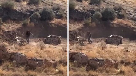 Sivas'ta yürek sızlatan görüntü! Yavru köpeğe şiddet uygulayan şahıs gözaltında - 3. Sayfa