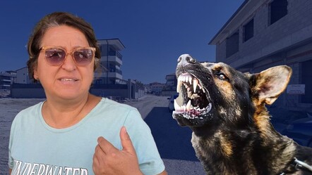Burdur'da sokak köpeklerinin saldırdığı kadın yaralandı - 3. Sayfa