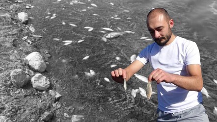 Baraja kimyasal madde mi döküldü? Kütahya'da korkutan balık ölümleri - Yaşam